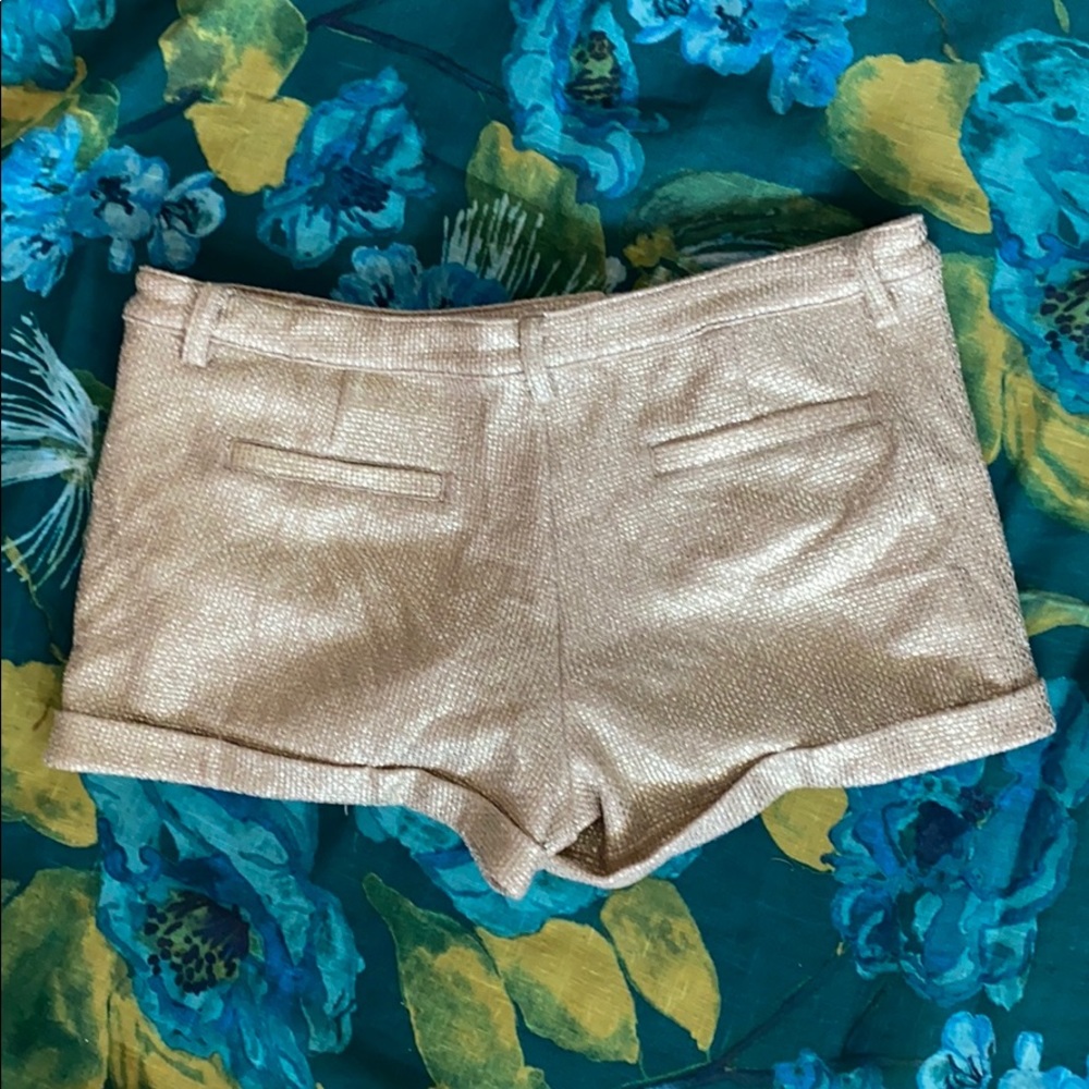 Shorts - Picture 2 of 3